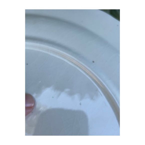 Copeland Spode Divided Plate Platter Spode's Byron England Series #2 - Picture 6 of 6